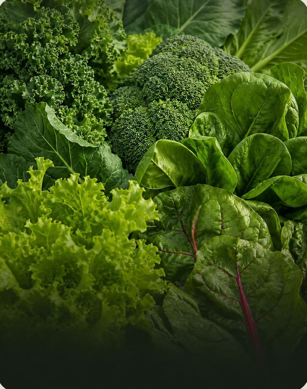 Fresh kale, broccoli, spinach and leafy greens