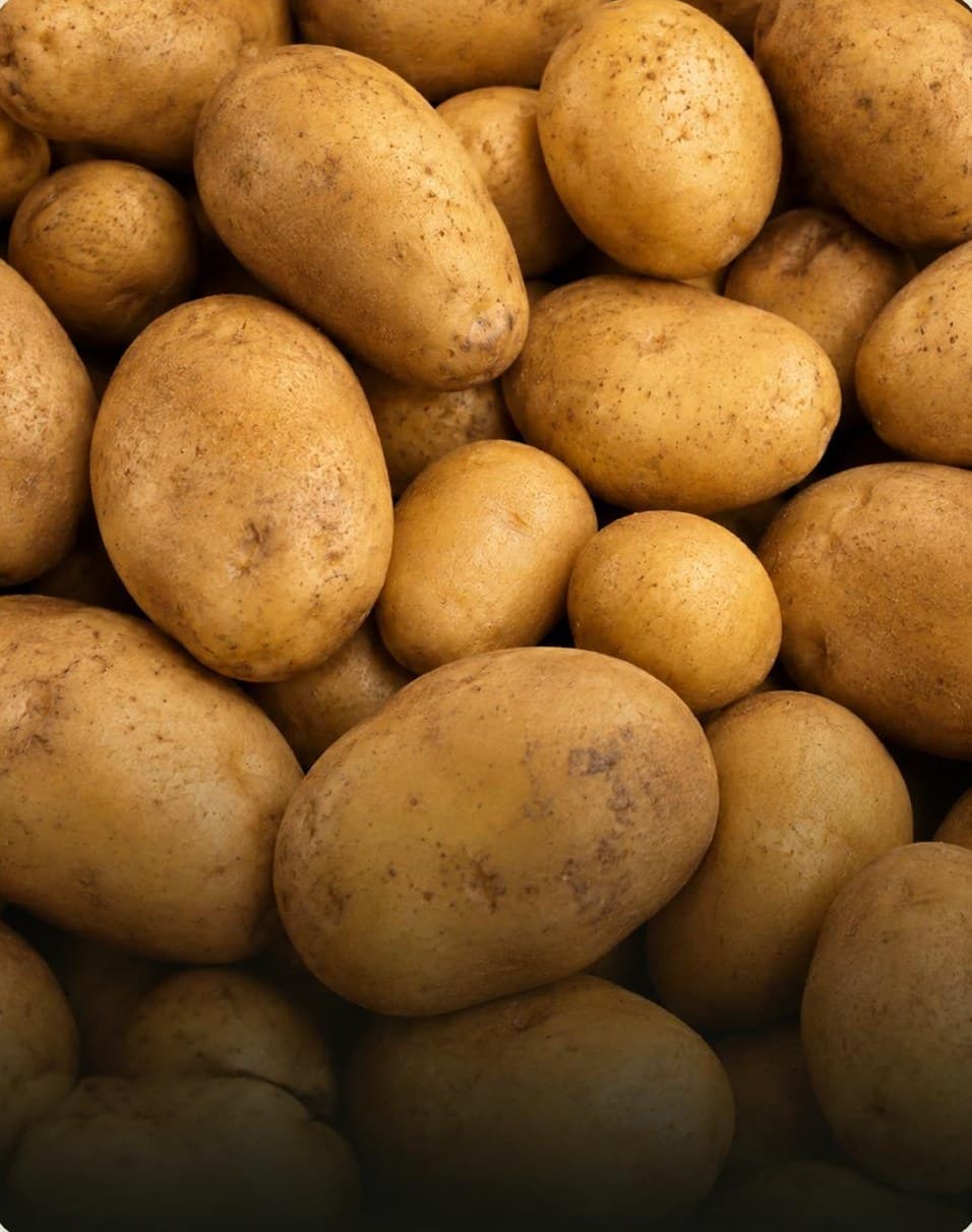 A pile of fresh potatoes