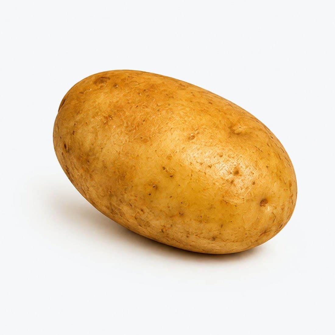 A single Agria potato