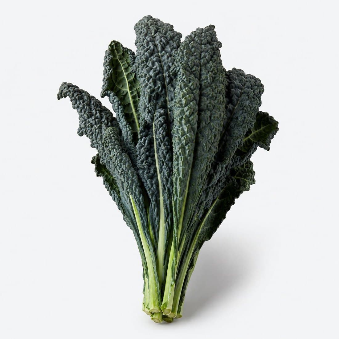 A bunch of black kale (cavolo nero)