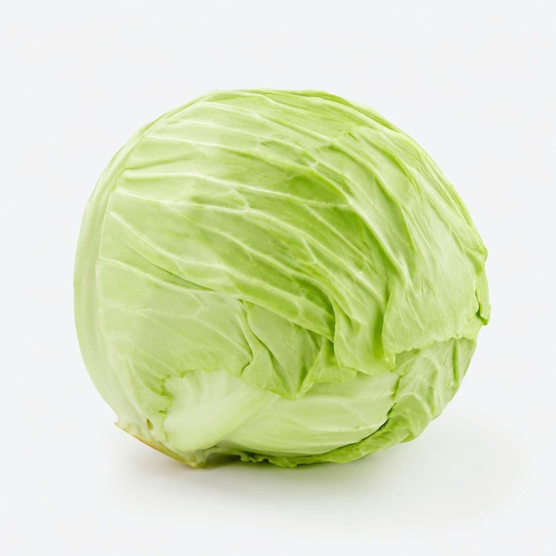 A whole green cabbage