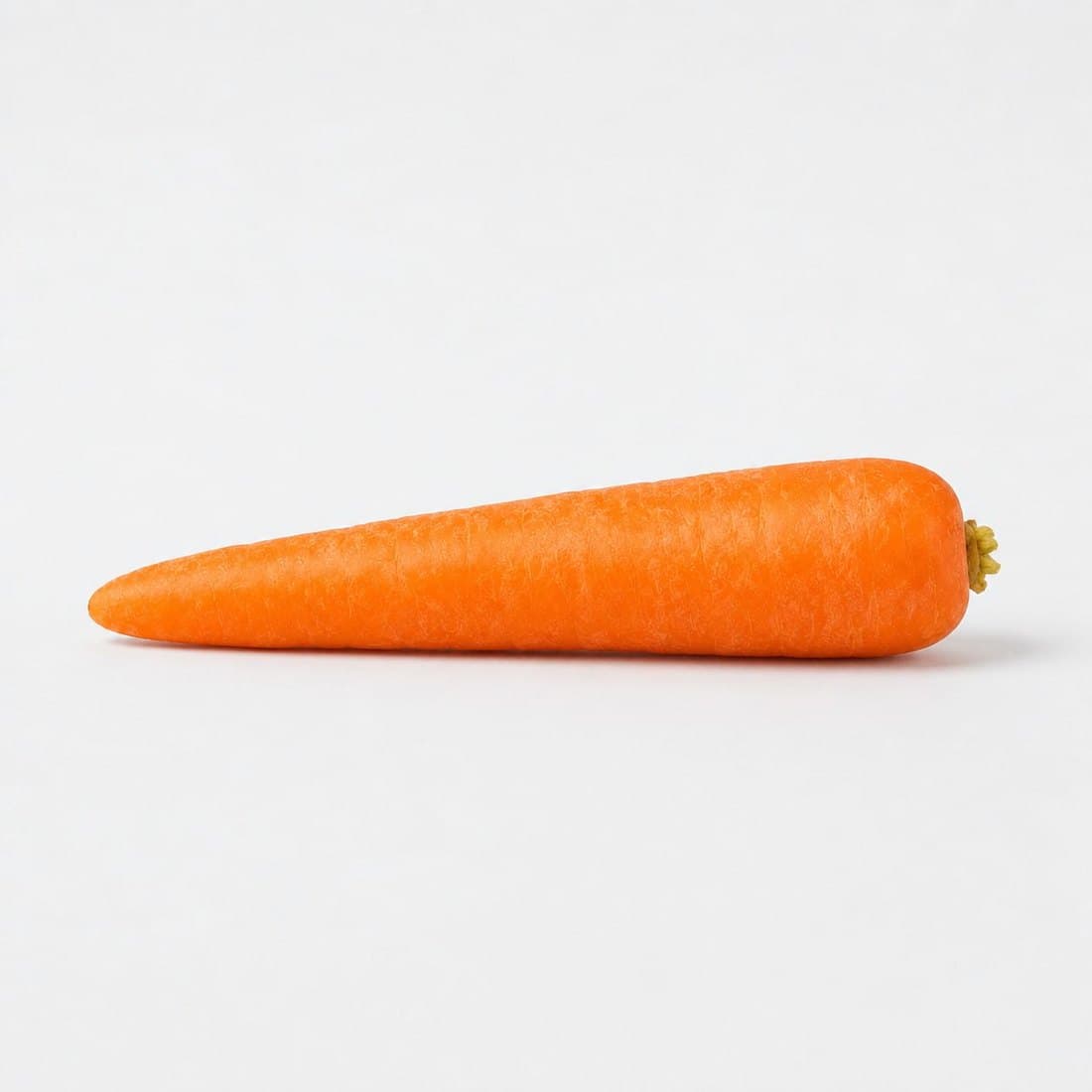 A single fresh carrot