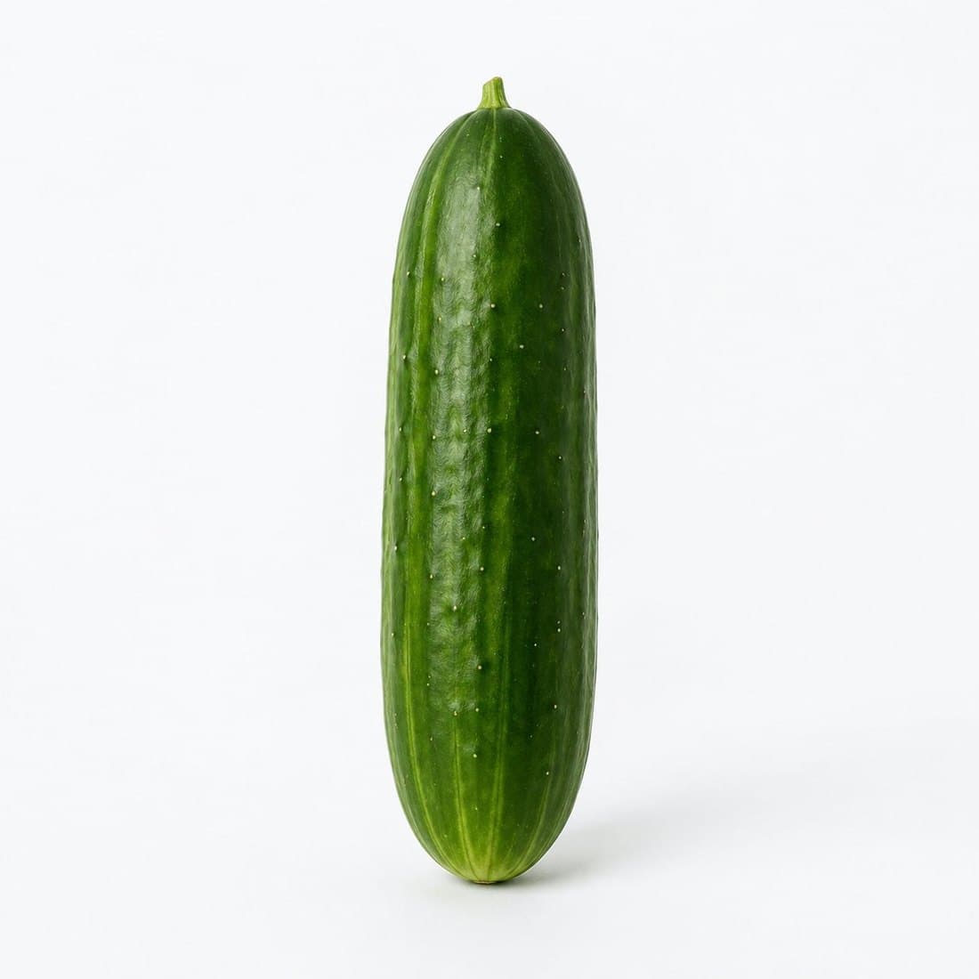 A whole fresh cucumber