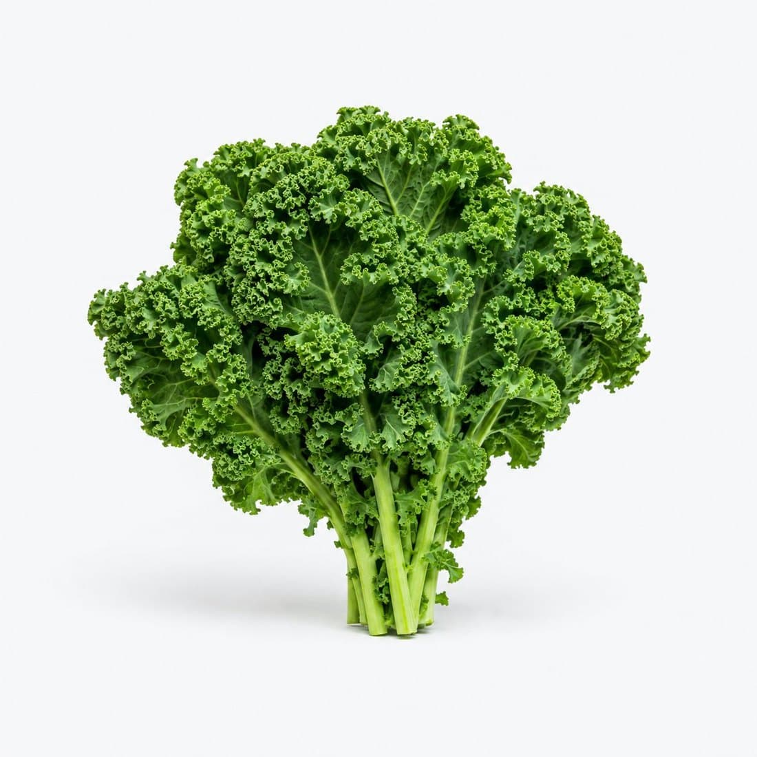 A bunch of fresh curly kale