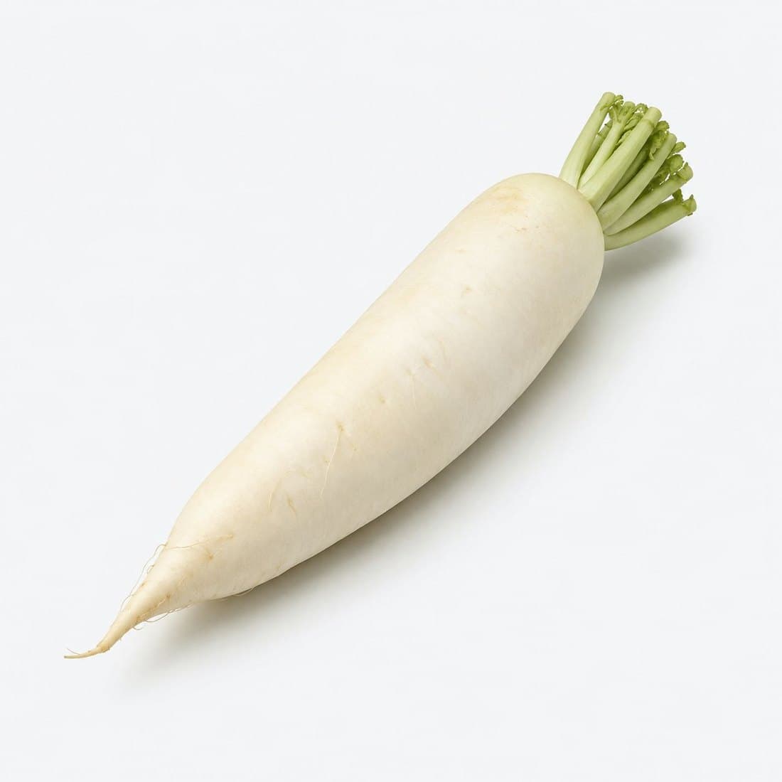 A whole daikon radish with stems