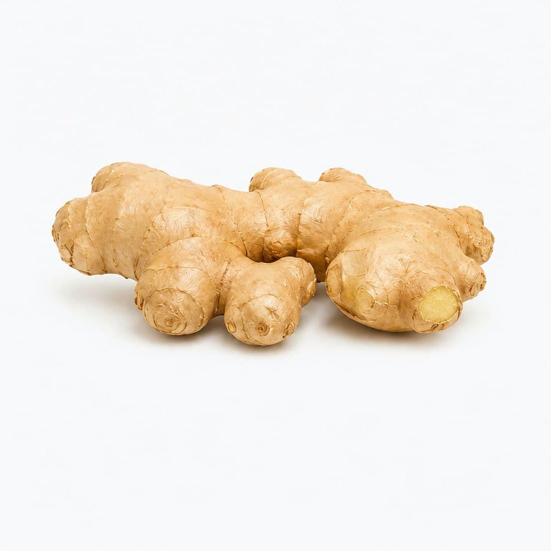 A hand of fresh ginger root