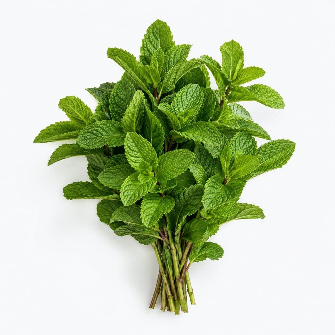 A bunch of fresh mint