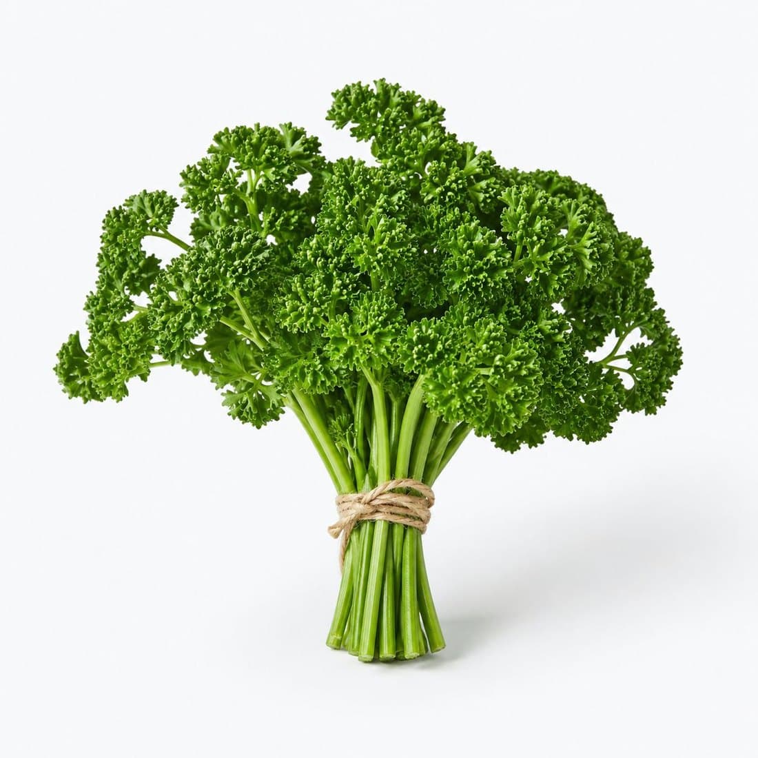 A bunch of fresh curly parsley