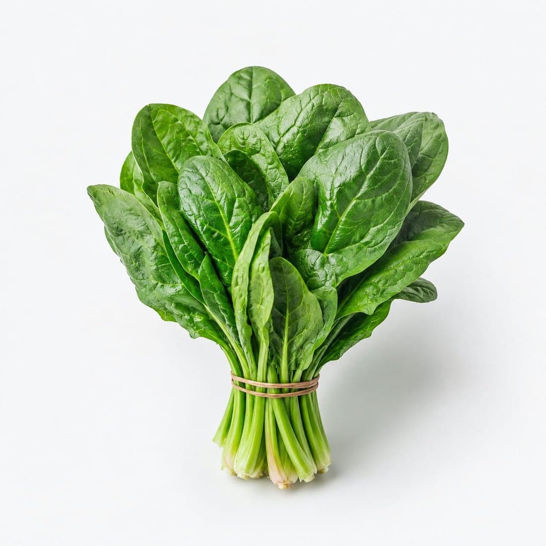 A bunch of fresh spinach