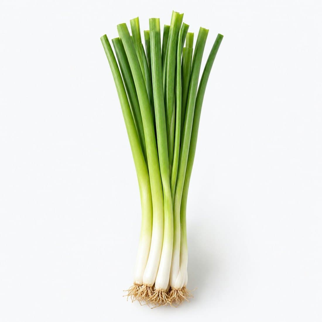 A bunch of fresh spring onions